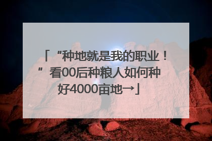 “种地就是我的职业！”看00后种粮人如何种好4000亩地→